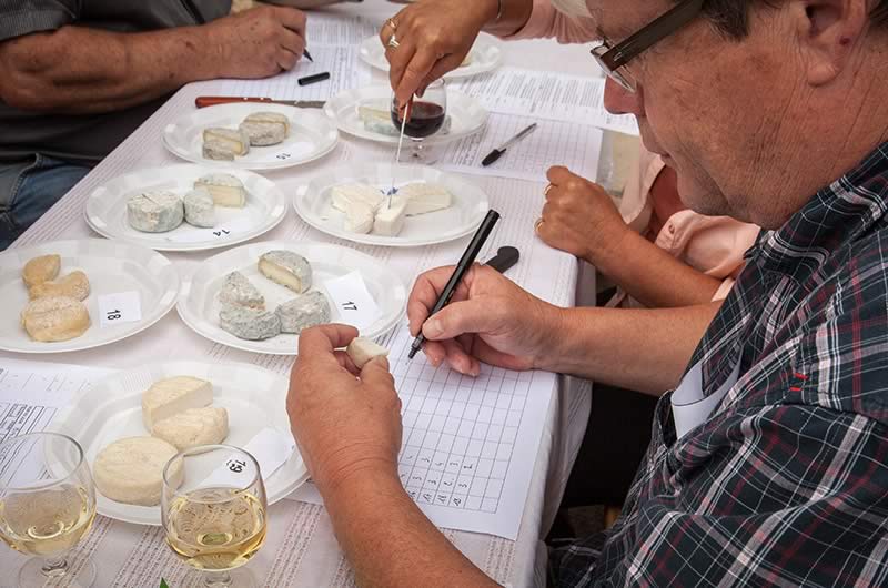 PICODON AOP_degustation de Picodon_drome ardeche