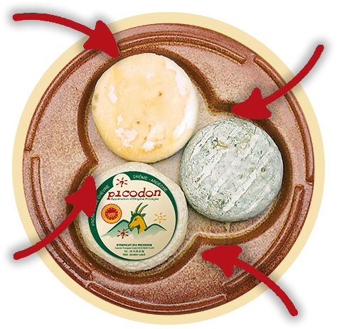 Plateau de fromages Picodon-différents affinages-Fromage de chèvre de caractère-Drôme Ardèche-Picodon AOP