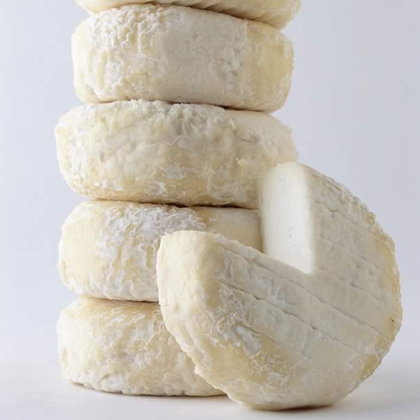 Picodon-AOP-Fromage de chèvre de caractère-Drôme Ardèche-picodon-jeune