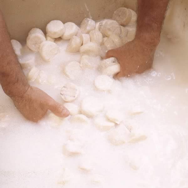 Picodon affine-lave-Fromage de chèvre de caractère-Drôme Ardèche-Picodon AOP