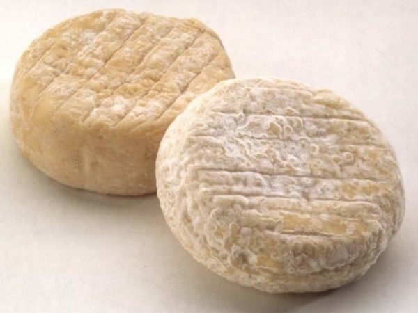 PICODON-AOP-Bandeau-1-fromage de chèvre-Ardèche Drôme