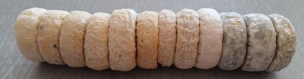 Picodon-AOP_Fromage de chèvre de caractére- Drôme Ardèche-Header-page-Restaurants