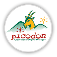 logo-picodon