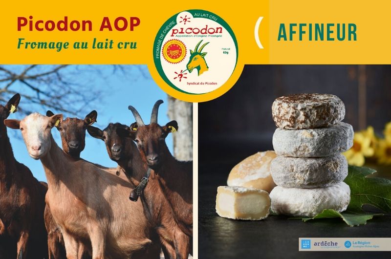 Affineur - Appellation d’Origine Protégée - Picodon - AOP - Drôme - Ardèche - France - Fromage - chèvre