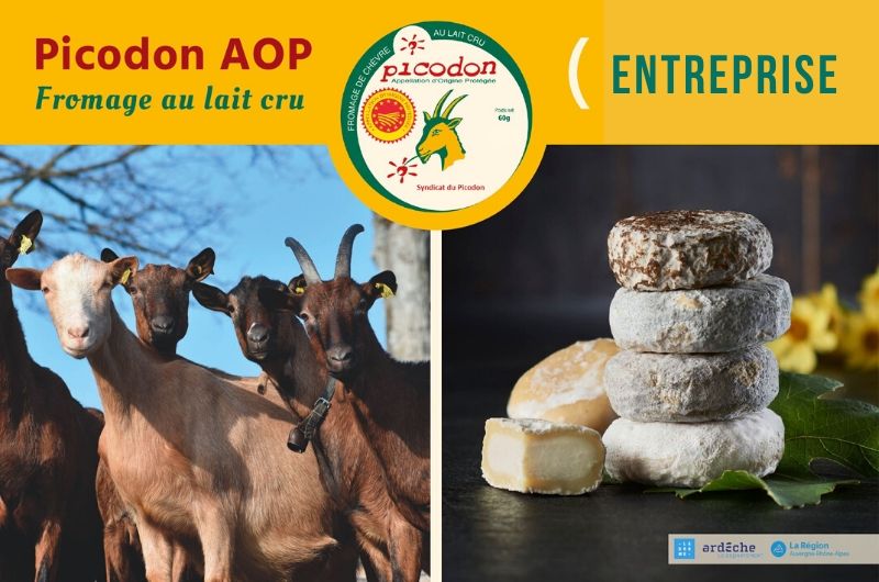 Entreprise - Appellation d’Origine Protégée - Picodon - AOP - Drôme - Ardèche - France - Fromage - chèvre