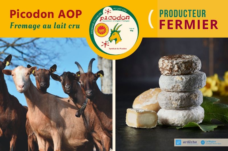 Fermier - Appellation d’Origine Protégée - Picodon - AOP - Drôme - Ardèche - France - Fromage - chèvre