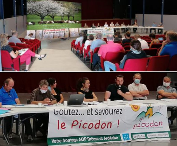 picodon - renouvellement des générations - installations - filière AOP