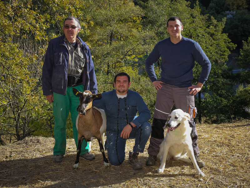 texte alternatif : Appellation d’Origine Protégée - Picodon - AOP - Drôme - Rimandoule - France - Fromage - chèvre